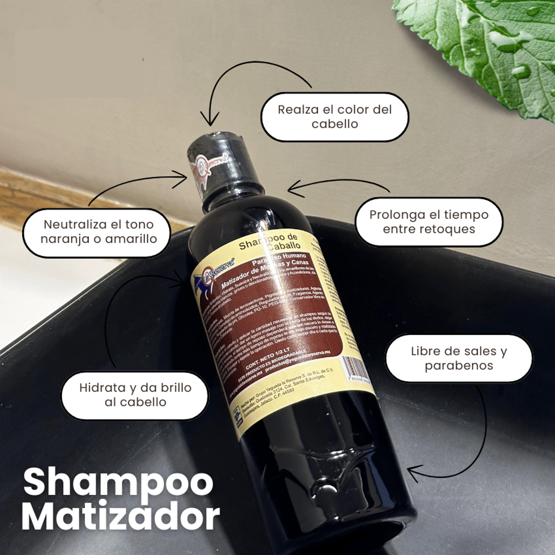 Shampoo Matizador