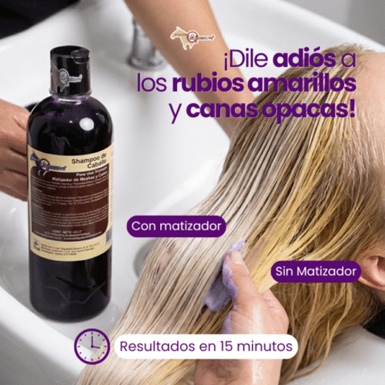 Shampoo Matizador